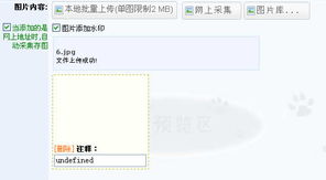 圖片系統(tǒng)上傳圖片錯誤 領(lǐng)先建站cms提供服務(wù)商 我們專注于cms建站產(chǎn)品的研發(fā)